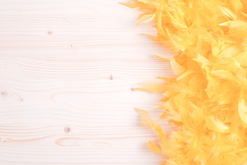 yellow feather boa on light board on the left with space for tex
