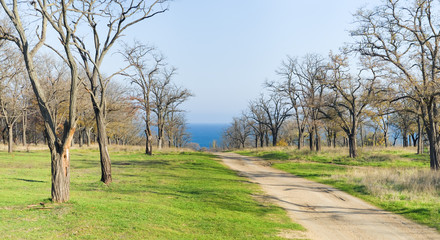 Obraz premium Autumn Landscape.