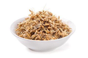 Sprouted grain oats in a bowl on a white background