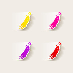 realistic design element: cucumber