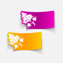 realistic design element: parsley, dill