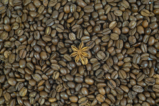 Lots of coffee beans. One anise stars. Pattern. Background.