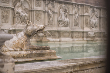 Fonte Gaia (Siena)
