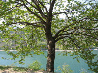 Fototapeta premium lago di ledro