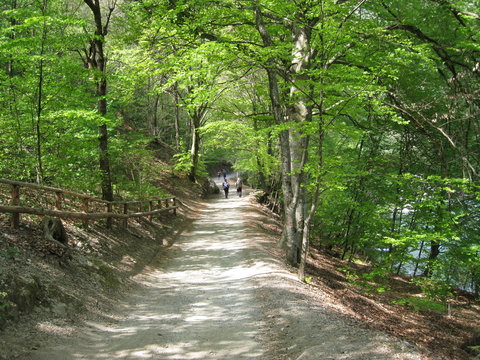 passeggiando