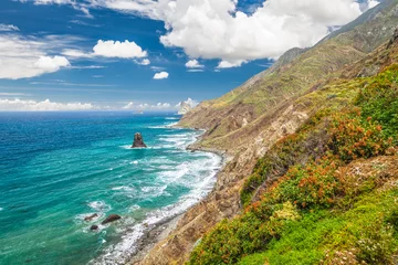Rolgordijnen Canary island © Vitalez