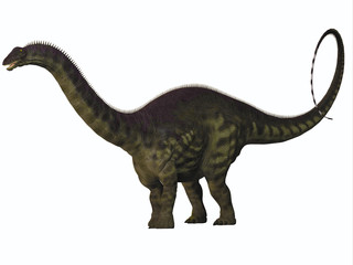 Apatosaurus on White © Catmando