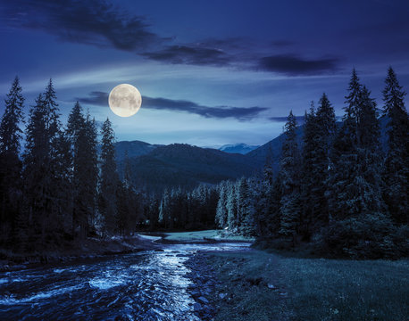 Mountain river in pine forest at night