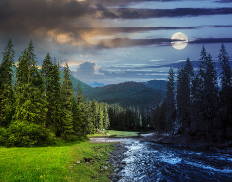 Mountain river in pine forest day and night