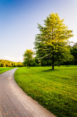 Trees and lawn along dirt path in Southern York County, Pennsylv