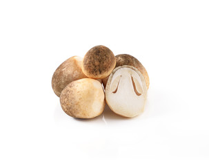 straw mushroom isolated on white background