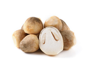 straw mushroom isolated on white background