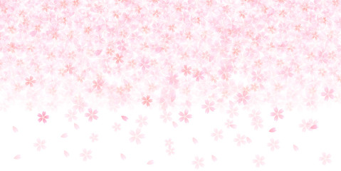 桜　花　背景 © J BOY
