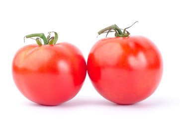 Fresh tomato