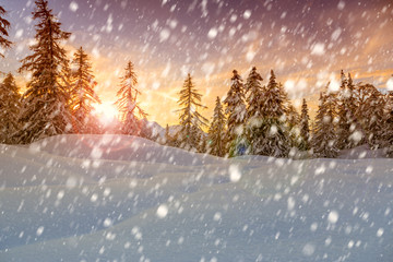 Sunset winter landscape with snow
