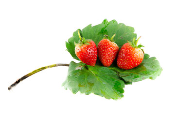 strawberry isolated