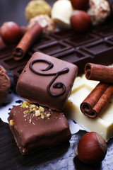 Bars of white and bitter chocolates with candies, hazelnut and