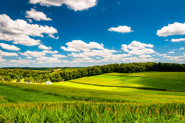 View of farm fields and rolling hills in rural York County, Penn