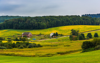 View of farm fields and rolling hills in rural York County, Penn