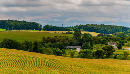 Fototapeta na wymiar View of farm fields and rolling hills in rural York County, Penn