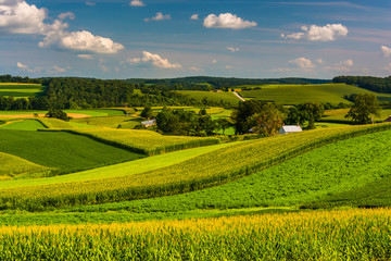 Obraz premium View of farm fields and rolling hills in Southern York County, P
