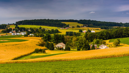 Fototapeta premium View of farm fields and rolling hills in rural York County, Penn