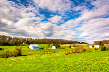 Fototapeta premium View of farms in rural York County, Pennsylvania.