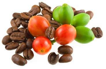 fèves et cerises de café