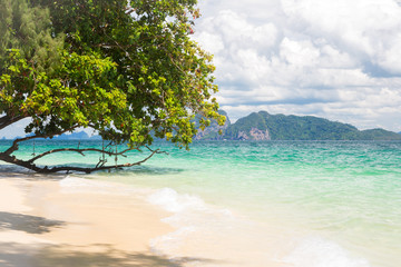 tropical white sand andaman beach