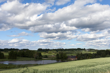 Green field in hot summer day.