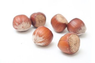 noisettes