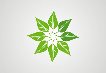 Ecology leaf logo vector