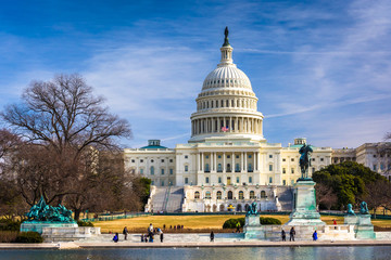 Fototapeta premium The United States Capitol and reflecting pool in Washington, DC.