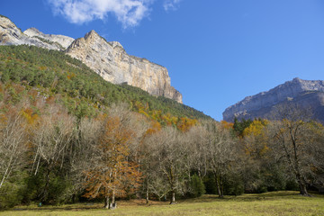 Pyrenees