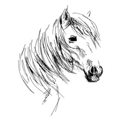 Hand drawing horse head