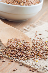 Organic lentils with wooden false on burlap background