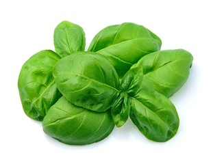 Fresh basil leaves