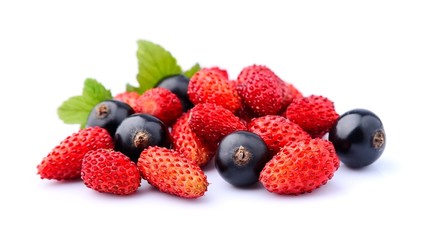 Wild strawberries with black currants