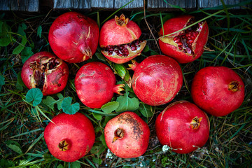 pomegranates on a green grass background