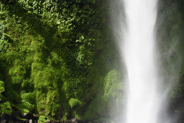 Waterfall in tropical rainforest in Costa Rica