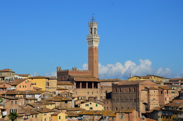 Siena e la sua torre