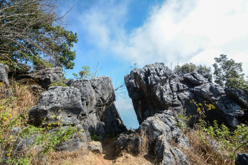rock on Pha Tung Mountain , Chiang Rai , Thailand