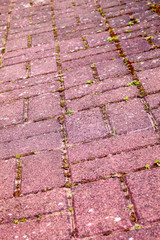 Cobbled path