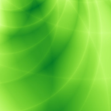 Nature background abstract green leaf pattern