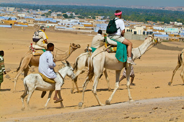 Egypte - Tourists led by camel drivers.Aswan
