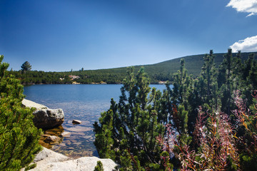 Lake at mountain top