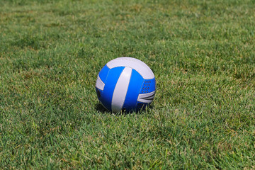 Fototapeta na wymiar white and blue ball on the grass