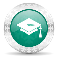 education green icon, christmas button, graduation sign