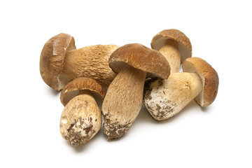 Fresh mushrooms isolated on a white background