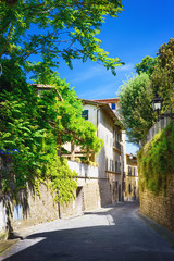 Fototapeta na wymiar Old street in Boboli Gardens, Florence, Italy
